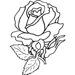 Раскраска: розы (природа) #161922 - Бесплатные раскраски для печати
