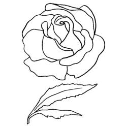 Раскраска: розы (природа) #161931 - Бесплатные раскраски для печати