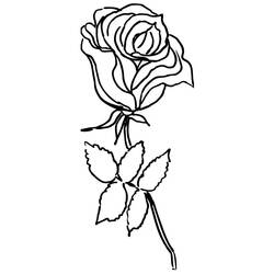 Раскраска: розы (природа) #161935 - Бесплатные раскраски для печати