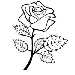 Раскраска: розы (природа) #161936 - Раскраски для печати