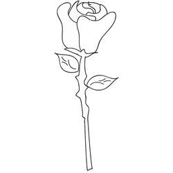 Раскраска: розы (природа) #161950 - Бесплатные раскраски для печати