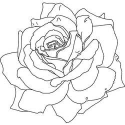 Раскраска: розы (природа) #161983 - Бесплатные раскраски для печати