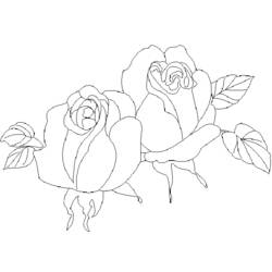 Раскраска: розы (природа) #161988 - Бесплатные раскраски для печати