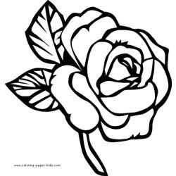 Раскраска: розы (природа) #162017 - Раскраски для печати