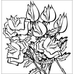 Раскраска: розы (природа) #162031 - Бесплатные раскраски для печати