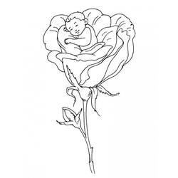 Раскраска: розы (природа) #162037 - Бесплатные раскраски для печати