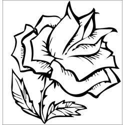 Раскраска: розы (природа) #162049 - Бесплатные раскраски для печати