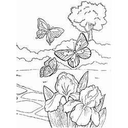 Раскраска: Весенний сезон (природа) #164753 - Раскраски для печати