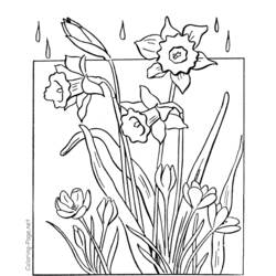 Раскраска: Весенний сезон (природа) #164876 - Бесплатные раскраски для печати