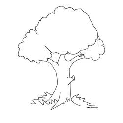 Раскраска: дерево (природа) #154667 - Раскраски для печати