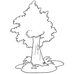 Раскраска: дерево (природа) #154680 - Бесплатные раскраски для печати