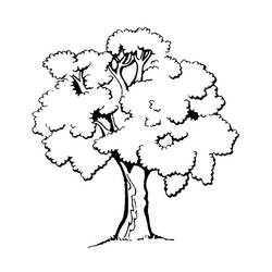 Раскраска: дерево (природа) #154683 - Раскраски для печати