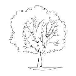 Раскраска: дерево (природа) #154693 - Бесплатные раскраски для печати