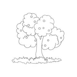 Раскраска: дерево (природа) #154697 - Бесплатные раскраски для печати