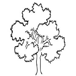 Раскраска: дерево (природа) #154701 - Бесплатные раскраски для печати