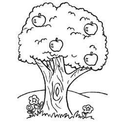 Раскраска: дерево (природа) #154702 - Раскраски для печати