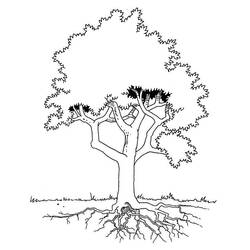 Раскраска: дерево (природа) #154704 - Бесплатные раскраски для печати