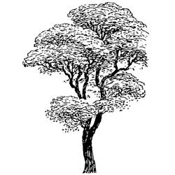 Раскраска: дерево (природа) #154715 - Бесплатные раскраски для печати