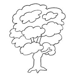 Раскраска: дерево (природа) #154719 - Бесплатные раскраски для печати