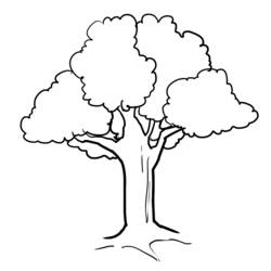 Раскраска: дерево (природа) #154722 - Раскраски для печати