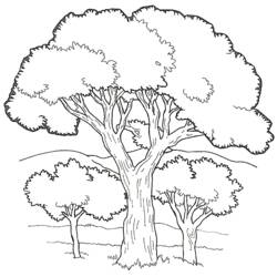 Раскраска: дерево (природа) #154733 - Раскраски для печати