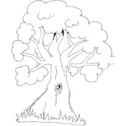 Раскраска: дерево (природа) #154736 - Раскраски для печати