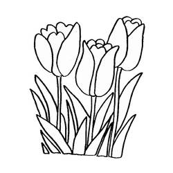 Раскраска: тюльпан (природа) #161613 - Раскраски для печати