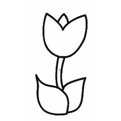 Раскраска: тюльпан (природа) #161618 - Бесплатные раскраски для печати