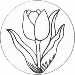 Раскраска: тюльпан (природа) #161622 - Раскраски для печати
