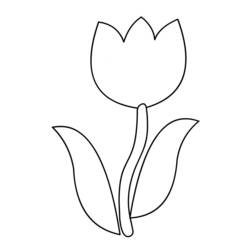 Раскраска: тюльпан (природа) #161625 - Раскраски для печати