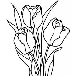 Раскраска: тюльпан (природа) #161634 - Раскраски для печати