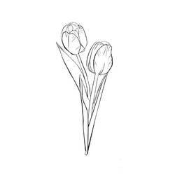 Раскраска: тюльпан (природа) #161635 - Бесплатные раскраски для печати