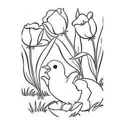 Раскраска: тюльпан (природа) #161650 - Раскраски для печати