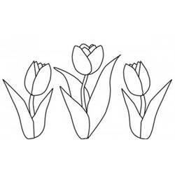 Раскраска: тюльпан (природа) #161684 - Раскраски для печати