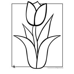 Раскраска: тюльпан (природа) #161699 - Раскраски для печати