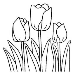 Раскраска: тюльпан (природа) #161701 - Раскраски для печати