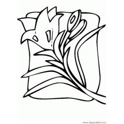 Раскраска: тюльпан (природа) #161703 - Бесплатные раскраски для печати