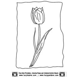 Раскраска: тюльпан (природа) #161712 - Бесплатные раскраски для печати