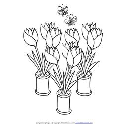 Раскраска: тюльпан (природа) #161714 - Бесплатные раскраски для печати