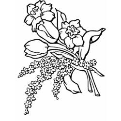 Раскраска: тюльпан (природа) #161715 - Бесплатные раскраски для печати