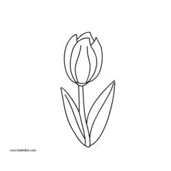 Раскраска: тюльпан (природа) #161723 - Раскраски для печати