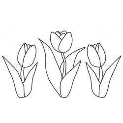 Раскраска: тюльпан (природа) #161755 - Раскраски для печати