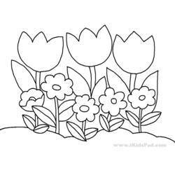 Раскраска: тюльпан (природа) #161758 - Раскраски для печати