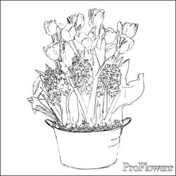 Раскраска: тюльпан (природа) #161792 - Бесплатные раскраски для печати