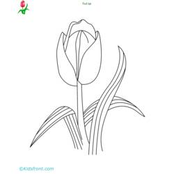 Раскраска: тюльпан (природа) #161797 - Бесплатные раскраски для печати