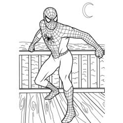Раскраска: человек-паук (Супер герой) #78643 - Раскраски для печати