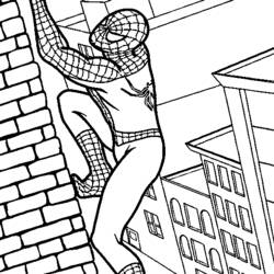 Раскраска: человек-паук (Супер герой) #78647 - Раскраски для печати
