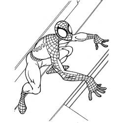 Раскраска: человек-паук (Супер герой) #78857 - Раскраски для печати