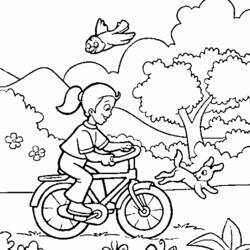 Раскраска: Велосипед / Велосипед (транспорт) #137010 - Бесплатные раскраски для печати